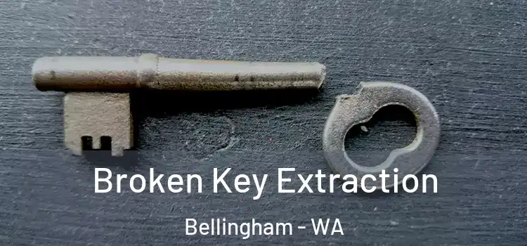  Broken Key Extraction Bellingham - WA