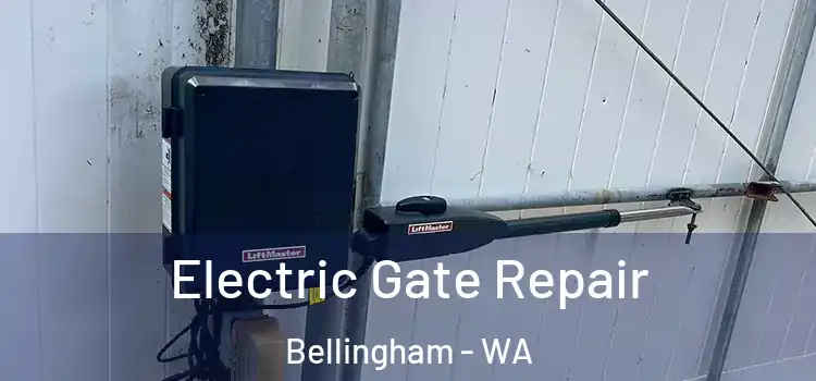  Electric Gate Repair Bellingham - WA