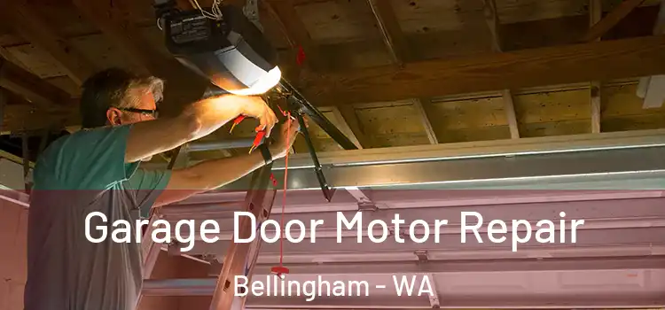  Garage Door Motor Repair Bellingham - WA
