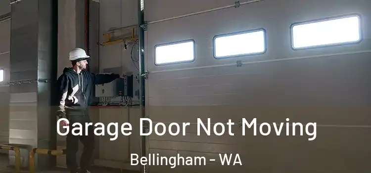  Garage Door Not Moving Bellingham - WA