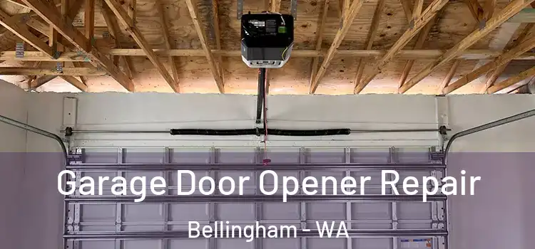  Garage Door Opener Repair Bellingham - WA