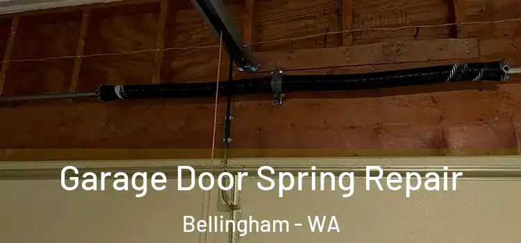  Garage Door Spring Repair Bellingham - WA