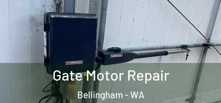 Gate Motor Repair Bellingham - WA