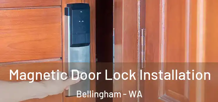  Magnetic Door Lock Installation Bellingham - WA