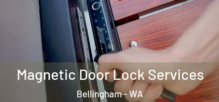 Magnetic Door Lock Services Bellingham - WA