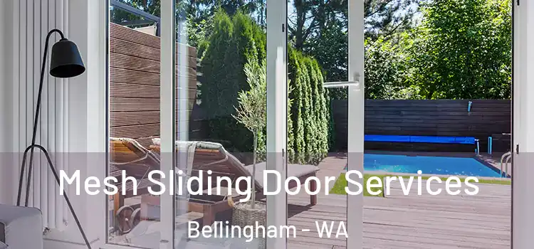 Mesh Sliding Door Services Bellingham - WA