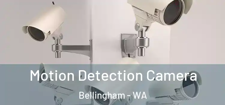  Motion Detection Camera Bellingham - WA