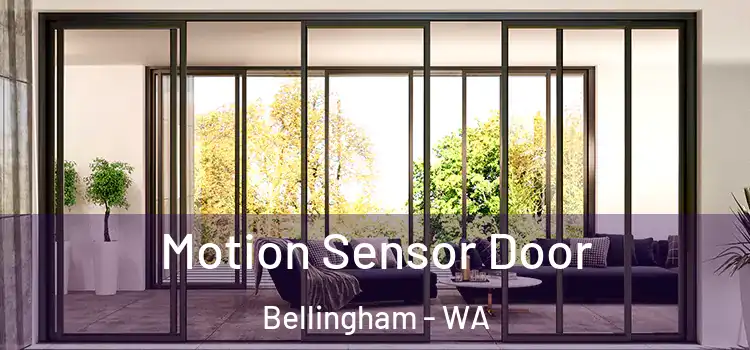 Motion Sensor Door Bellingham - WA