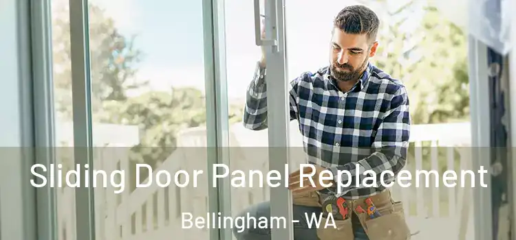  Sliding Door Panel Replacement Bellingham - WA