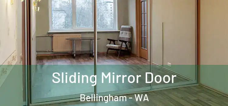  Sliding Mirror Door Bellingham - WA