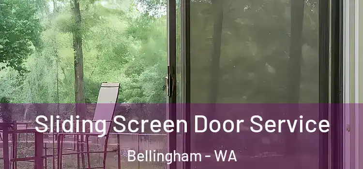  Sliding Screen Door Service Bellingham - WA
